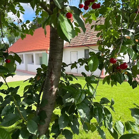 Apartment Fenyoudvar Vendeghaz