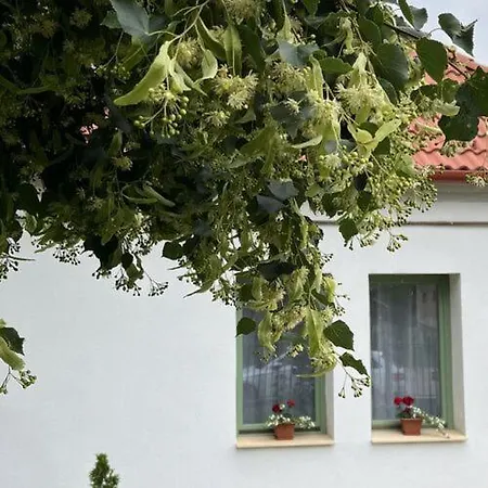 Appartamento Fenyőudvar *